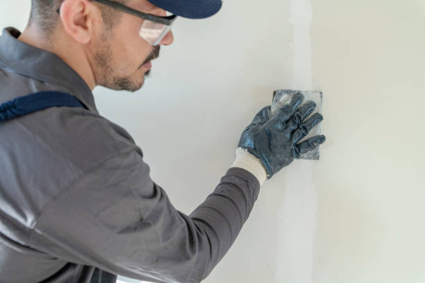 Best Biohazard Mold Removal  in North Baltimore, OH