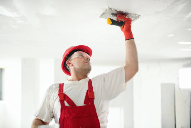 Best Dehumidification Services  in North Baltimore, OH