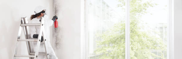 Best Real Estate Mold Inspection  in North Baltimore, OH