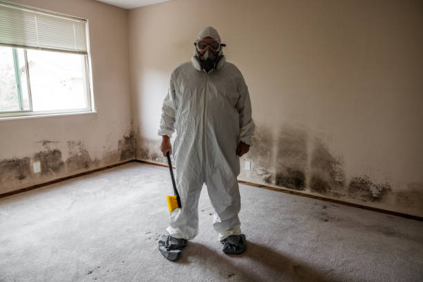Best Mold Removal for HVAC Installations  in North Baltimore, OH