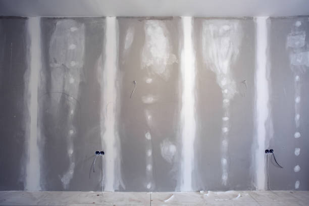 Trusted North Baltimore, OH Mold Removal Experts